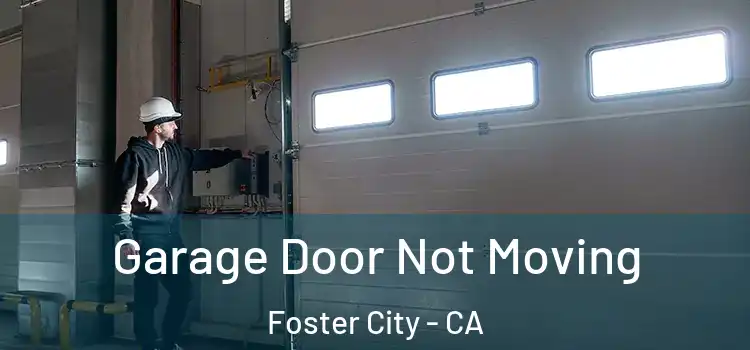  Garage Door Not Moving Foster City - CA